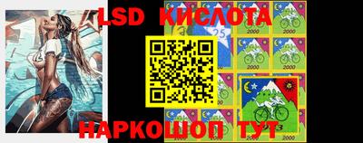 стаф Краснодар
