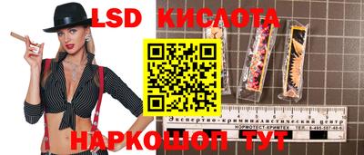 стаф Краснодар