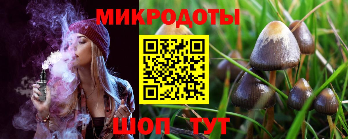 Псилоцибиновые грибы Cubensis  Вход с VPN  Кудрово 