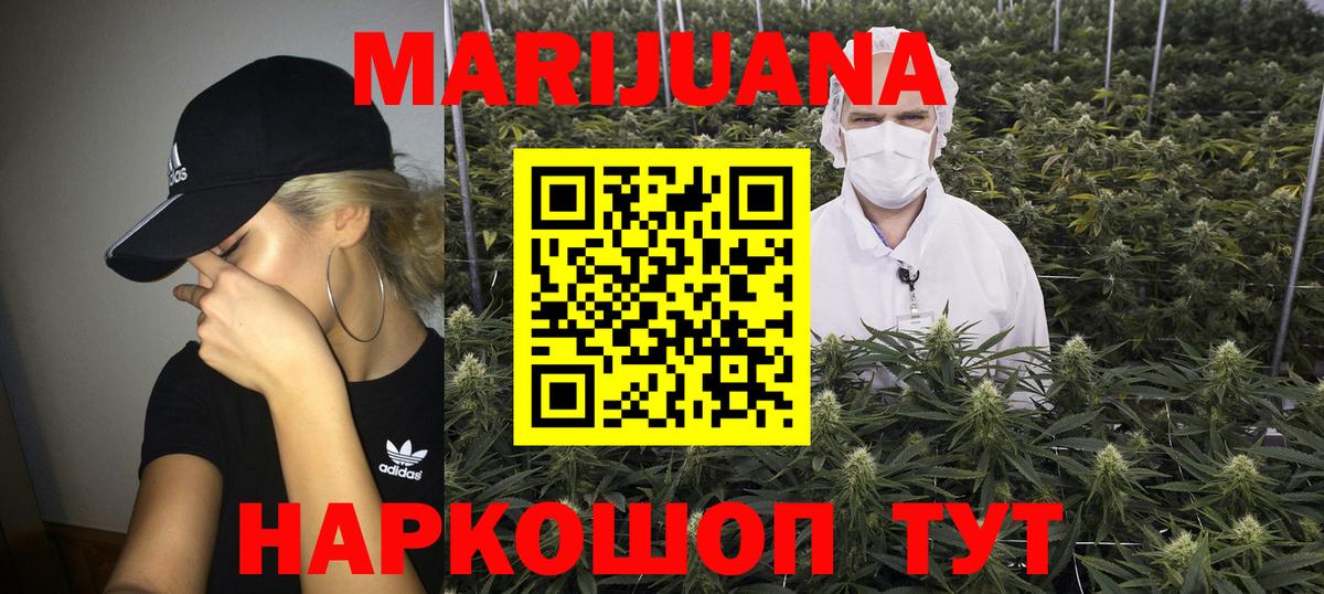 Конопля Bruce Banner Кудрово